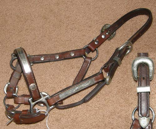 Dark Oil Leather Show Halter with Silver Bar and Gold Accents | La